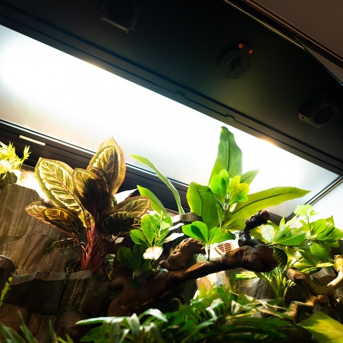 Terrarium Beleuchtung von Viperatec Terrarium Beleuchtung von Viperatec