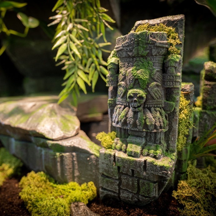 Terrarium Maya