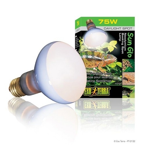 Terratuga Schildkrötenshop - Exoterra Solar Glo 160 Watt Professional